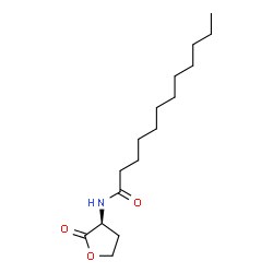 ChemSpider 2D Image | C12-HSL | C16H29NO3