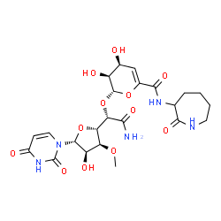 ChemSpider 2D Image | (2S,3S,4S)-2-{(1S)-2-Amino-1-[(2S,3S,4R,5R)-5-(2,4-dioxo-3,4-dihydro-1(2H)-pyrimidinyl)-4-hydroxy-3-methoxytetrahydro-2-furanyl]-2-oxoethoxy}-3,4-dihydroxy-N-(2-oxo-3-azepanyl)-3,4-dihydro-2H-pyran-6-
carboxamide | C23H31N5O12