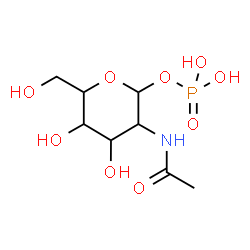 ChemSpider 2D Image | 2-Acetamido-2-deoxy-1-O-phosphonohexopyranose | C8H16NO9P