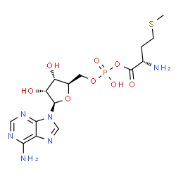 ChemSpider 2D Image | 5'-O-[{[(2S)-2-Amino-4-(methylsulfanyl)butanoyl]oxy}(hydroxy)phosphoryl]adenosine | C15H23N6O8PS