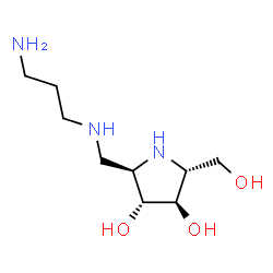 ChemSpider 2D Image | (2R,3R,4R,5R)-2-{[(3-Aminopropyl)amino]methyl}-5-(hydroxymethyl)-3,4-pyrrolidinediol | C9H21N3O3