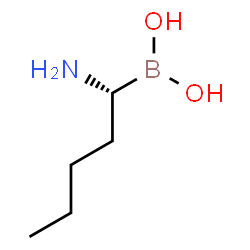 ChemSpider 2D Image | norleucine boronic acid | C5H14BNO2