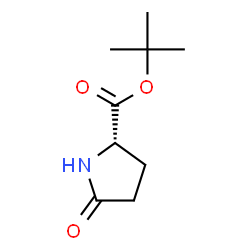 ChemSpider 2D Image | tert-Butyl L-pyroglutamate | C9H15NO3