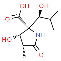 ChemSpider 2D Image | (3S,4R)-3-Hydroxy-2-[(1S)-1-hydroxy-2-methylpropyl]-4-methyl-5-oxo-D-proline | C10H17NO5