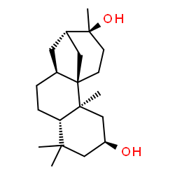 ChemSpider 2D Image | (1R,2S,4S,7S,10S,12S,13S)-2,6,6,13-Tetramethyltetracyclo[10.3.1.0~1,10~.0~2,7~]hexadecane-4,13-diol | C20H34O2