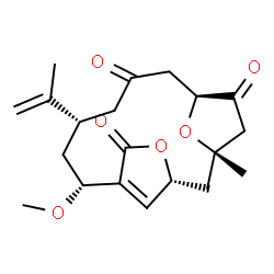 ChemSpider 2D Image | (1S,3R,7R,9S,13S)-9-Isopropenyl-7-methoxy-1-methyl-4,16-dioxatricyclo[11.2.1.1~3,6~]heptadec-6(17)-ene-5,11,14-trione | C20H26O6