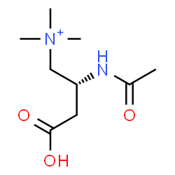 ChemSpider 2D Image | (2R)-2-Acetamido-3-carboxy-N,N,N-trimethyl-1-propanaminium | C9H19N2O3