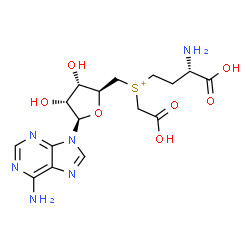 ChemSpider 2D Image | [(3S)-3-Amino-3-carboxypropyl]{[(2S,3S,4R,5R)-5-(6-amino-9H-purin-9-yl)-3,4-dihydroxytetrahydro-2-furanyl]methyl}(carboxymethyl)sulfonium | C16H23N6O7S