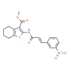 ChemSpider 2D Image | methyl 2-[(2E)-3-(3-nitrophenyl)prop-2-enamido]-4,5,6,7-tetrahydro-1-benzothiophene-3-carboxylate | C19H18N2O5S