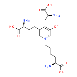ChemSpider 2D Image | deoxypyridinoline | C18H28N4O7