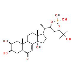 ChemSpider 2D Image | (2beta,3beta,5beta,9xi,17xi,22R)-2,3,14,25-Tetrahydroxy-6-oxocholest-7-en-22-yl dihydrogen phosphate | C27H45O9P