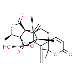 ChemSpider 2D Image | (1'S,2'R,3R,7'R,8'R,9'S,13'R)-8'-Hydroxy-2,2,2',9',13'-pentamethyl-6',16'-bis(methylene)-6H-spiro[pyran-3,5'-[10,14,17]trioxapentacyclo[7.6.1.1~7,12~.0~1,12~.0~2,7~]heptadecane]-6,11',15'-trione | C25H28O8