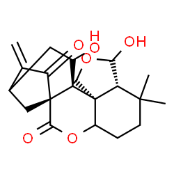 ChemSpider 2D Image | (1S,8R,9R,12S,13S,14S)-9,14-Dihydroxy-7,7-dimethyl-17-methylene-3,10-dioxapentacyclo[14.2.1.0~1,13~.0~4,12~.0~8,12~]nonadecane-2,18-dione | C20H26O6