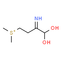ChemSpider 2D Image | (4,4-Dihydroxy-3-iminobutyl)(dimethyl)sulfonium | C6H14NO2S
