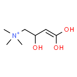 ChemSpider 2D Image | 2,4,4-Trihydroxy-N,N,N-trimethyl-3-buten-1-aminium | C7H16NO3