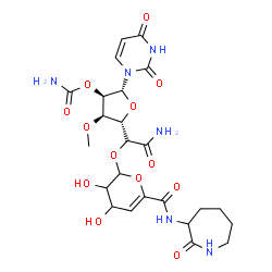 ChemSpider 2D Image | (2R,3R,4R,5S)-5-[(1R)-2-Amino-1-({3,4-dihydroxy-6-[(2-oxo-3-azepanyl)carbamoyl]-3,4-dihydro-2H-pyran-2-yl}oxy)-2-oxoethyl]-2-(2,4-dioxo-3,4-dihydro-1(2H)-pyrimidinyl)-4-methoxytetrahydro-3-furanyl car
bamate | C24H32N6O13