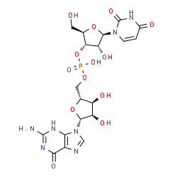 ChemSpider 2D Image | [(2R,3S,4R,5R)-5-(2-Amino-6-oxo-3,6-dihydro-9H-purin-9-yl)-3,4-dihydroxytetrahydro-2-furanyl]methyl (2R,3S,4R,5R)-5-(2,4-dioxo-3,4-dihydro-1(2H)-pyrimidinyl)-4-hydroxy-2-(hydroxymethyl)tetrahydro-3-fu
ranyl hydrogen phosphate | C19H24N7O13P