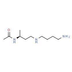 ChemSpider 2D Image | N-{(2S)-4-[(4-Aminobutyl)amino]-2-butanyl}acetamide | C10H23N3O