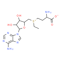 ChemSpider 2D Image | 2-Amino-4-[{[5-(6-amino-9H-purin-9-yl)-3,4-dihydroxytetrahydro-2-furanyl]methyl}(ethyl)sulfonio]butanoate | C16H24N6O5S