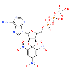 ChemSpider 2D Image | 2',3'-O-(2,4,6-Trinitro-2,5-cyclohexadiene-1,1-diyl)adenosine 5'-(tetrahydrogen triphosphate) | C16H17N8O19P3