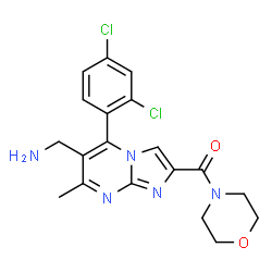 ChemSpider 2D Image | [6-(Aminomethyl)-5-(2,4-dichlorophenyl)-7-methylimidazo[1,2-a]pyrimidin-2-yl](4-morpholinyl)methanone | C19H19Cl2N5O2