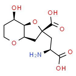 ChemSpider 2D Image | (2R,3aR,7R,7aR)-2-[(2S)-2-Amino-2-carboxyethyl]-7-hydroxyhexahydro-2H-furo[3,2-b]pyran-2-carboxylic acid | C11H17NO7