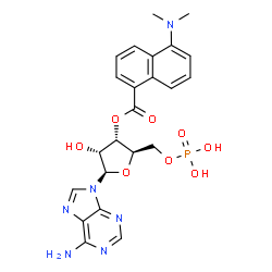 ChemSpider 2D Image | 3'-O-[5-(Dimethylamino)-1-naphthoyl]adenosine 5'-(dihydrogen phosphate) | C23H25N6O8P