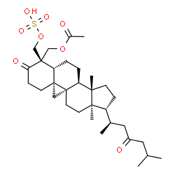 ChemSpider 2D Image | (9beta)-3,23-Dioxo-28-(sulfooxy)-9,19-cyclolanostan-29-yl acetate | C32H50O8S