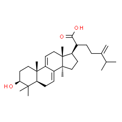 ChemSpider 2D Image | 2-[(3S,5R,10S,13R,14R,17R)-3-hydroxy-4,4,10,13,14-pentamethyl-2,3,5,6,12,15,16,17-octahydro-1H-cyclopenta[a]phenanthren-17-yl]-6-methyl-5-methylene-heptanoic acid | C31H48O3