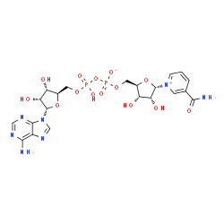ChemSpider 2D Image | [[(2R,3S,4R,5S)-5-(6-aminopurin-9-yl)-3,4-dihydroxy-tetrahydrofuran-2-yl]methoxy-hydroxy-phosphoryl] [(2R,3S,4R,5S)-5-(3-carbamoylpyridin-1-ium-1-yl)-3,4-dihydroxy-tetrahydrofuran-2-yl]methyl phosphate | C21H27N7O14P2