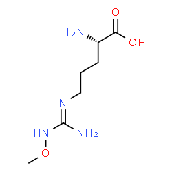 ChemSpider 2D Image | (E)-N~5~-[Amino(methoxyamino)methylene]-L-ornithine | C7H16N4O3